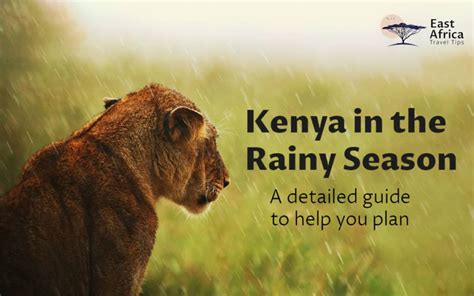 kenya rainy season months